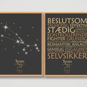 Stjernetegnsplakater